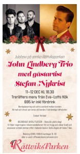 Julshow bild